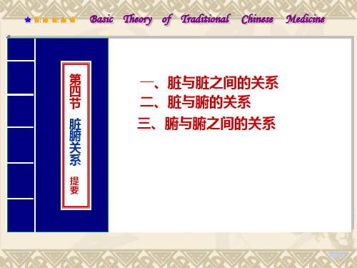 基础中医学：脏腑之间的关系