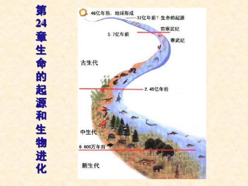 生物：《生命的诞生》课件(苏教版八年级下)