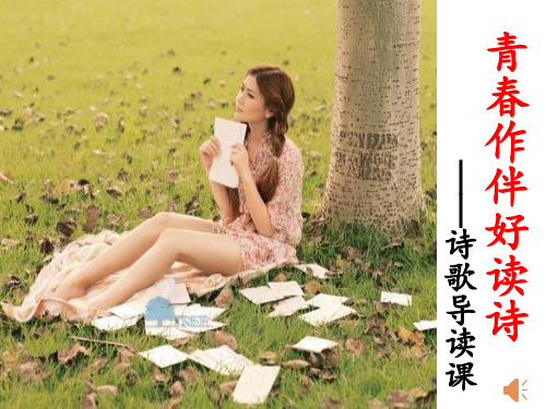 诗歌导读课