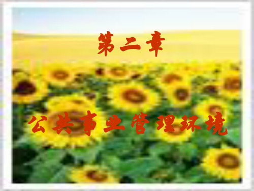 第二章公共事业管理的环境