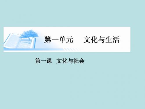 (广东专版)2015届高考政治总复习(深化拓展+易错点拨)第一课 文化与社会课件 新人教版必修3