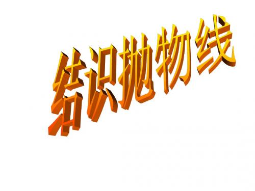 结识抛物线