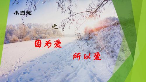 因为爱,所以爱