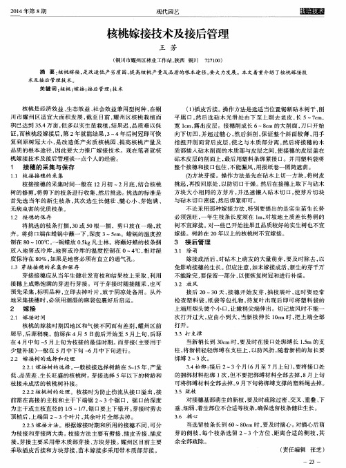 核桃嫁接技术及接后管理