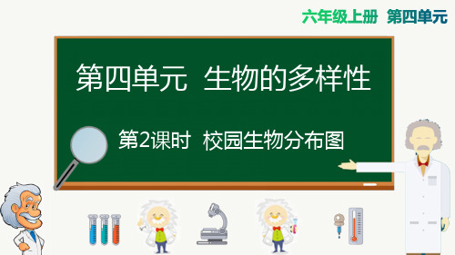 教科版六年级上册科学-校园生物分布图精品课件