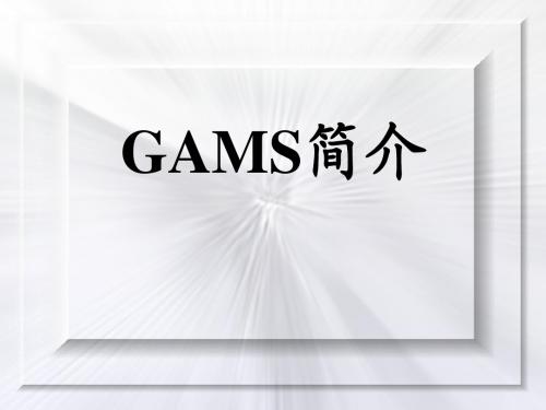 GAMS_软件介绍