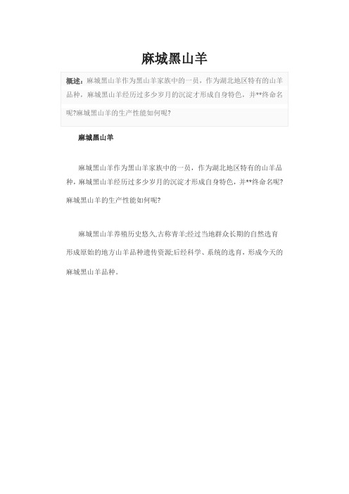 麻城黑山羊