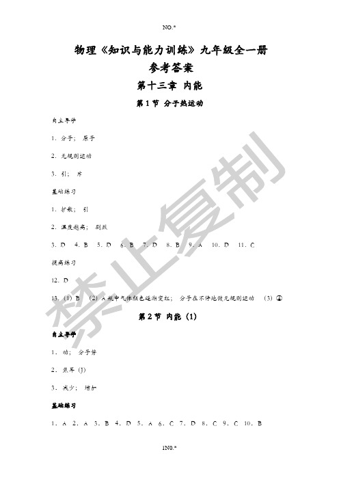 物理知识与能力训练九年级全一册参考答案