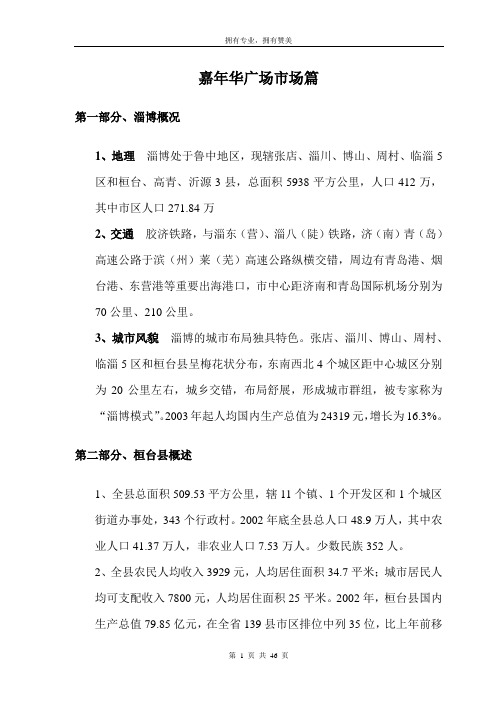 淄博嘉年华广场市场调研及策划报告