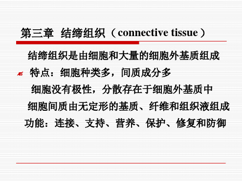 组织学与胚胎学 第三章结缔组织