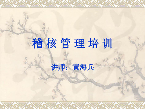 稽核管理培训教材PPT(38张)