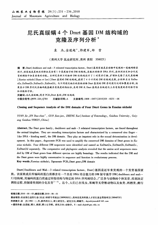 尼氏真绥螨4个Dmrt基因DM结构域的克隆及序列分析