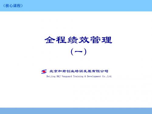 日化行业系统思考绩效与绩效管理(ppt 161页)