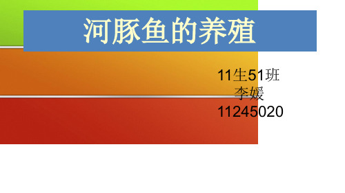 河豚的养殖.