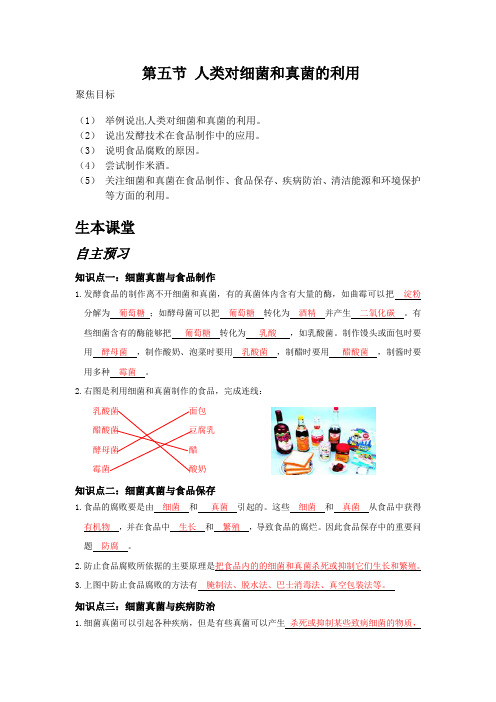 人教版生物八年级上册第四章第五节人类对细菌和真菌的利用