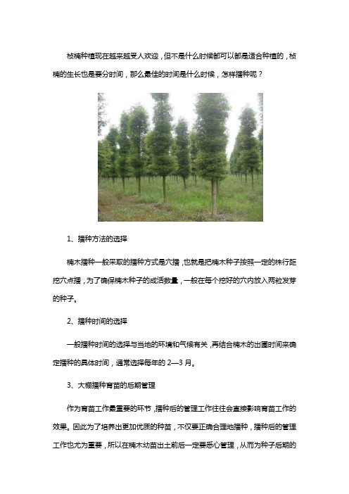 桢楠的最佳种植时间