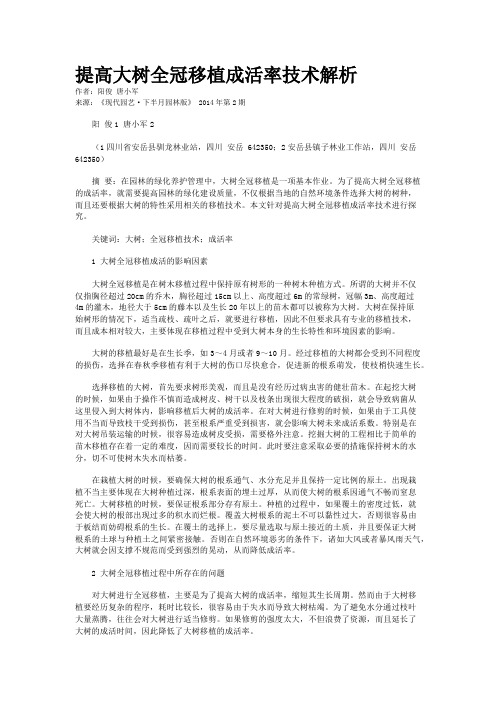 提高大树全冠移植成活率技术解析