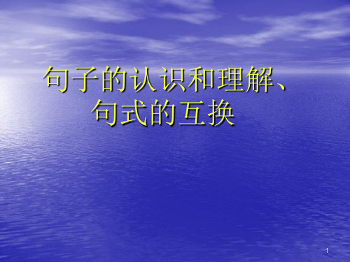 28小学毕业语文知识总复习【句子】PPT课件