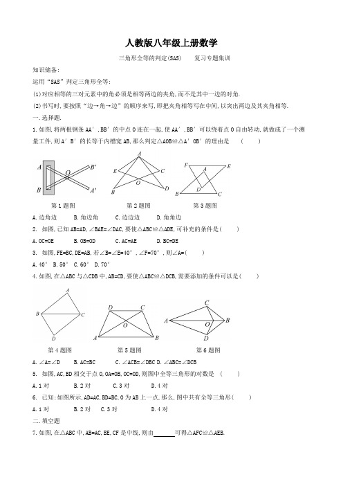 人教版八年级上册数学   三角形全等的判定(SAS)    复习专题集训