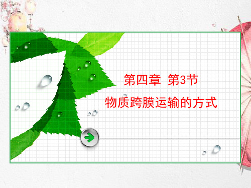 新版人教高中生物2020物质跨膜运输的方式(共35张PPT)学习演示PPT课件