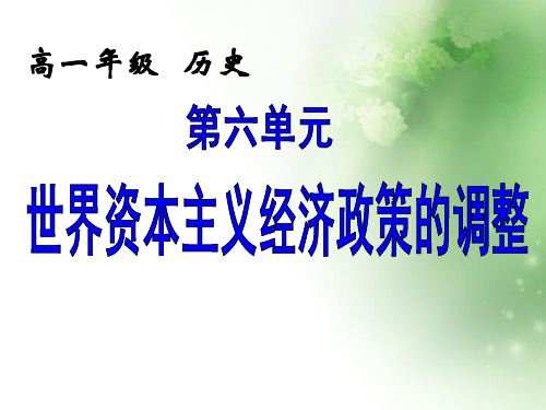 1929-1933年资本主义经济危机ppt3 人教课标版