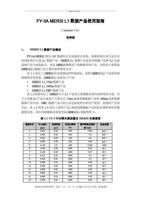 L1数据产品使用指南