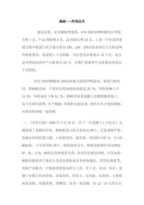 农村致富赚钱技能之蝇蛆养殖技术