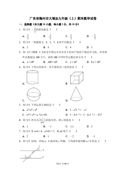 广东省梅州市大埔县九年级(上)期末数学试卷