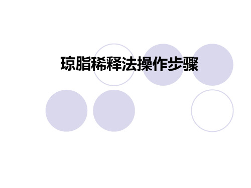 琼脂稀释法操作步骤