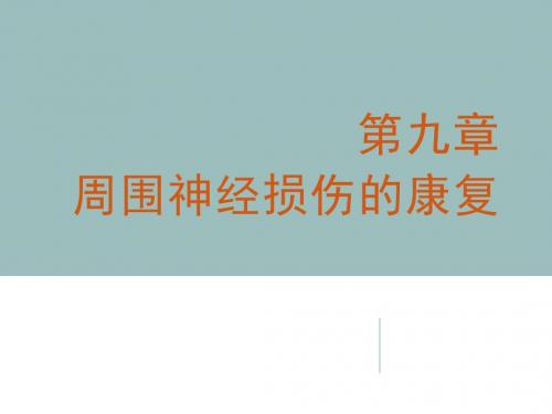 09周围神经损伤的康复