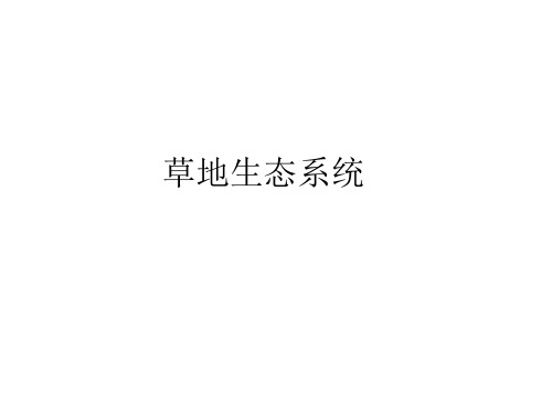 草地生态系统