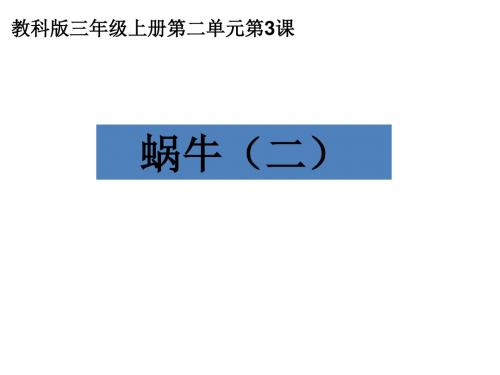 教科版科学三年级上册2.3《蜗牛二》ppt课件2