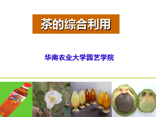茶的综合利用