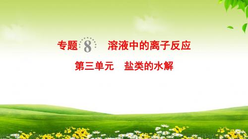 2019高考苏教版化学一轮复习课件： 专题8 第3单元 盐类的水解