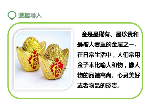 苏教版二年级语文下册课件-16.闪光的金子