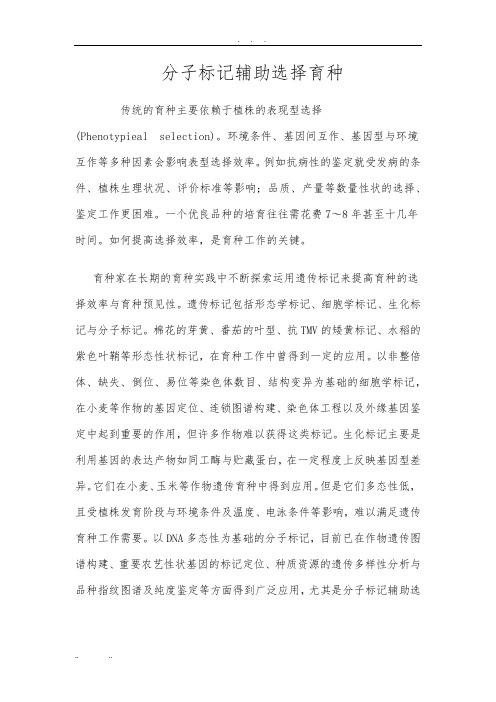 分子标记辅助选择育种