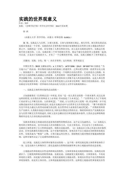 实践的世界观意义