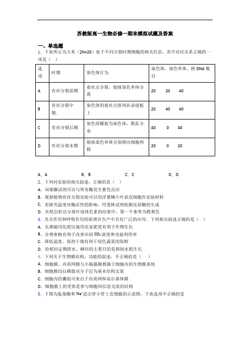 苏教版高一生物必修一期末模拟试题及答案