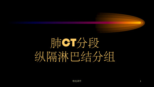 CT肺叶分段及纵膈淋巴结分组