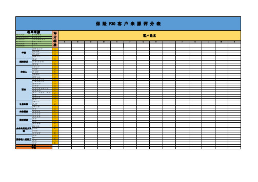 保险P30表格