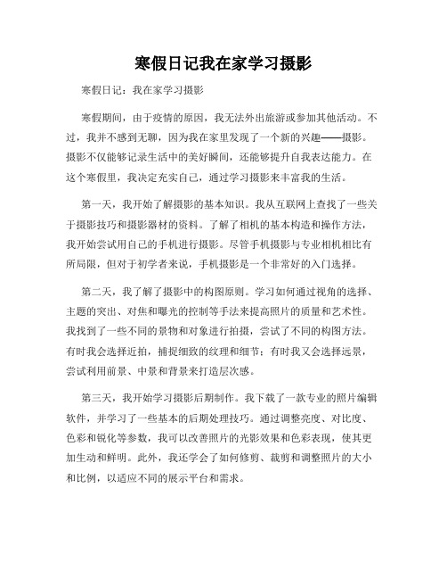 寒假日记我在家学习摄影