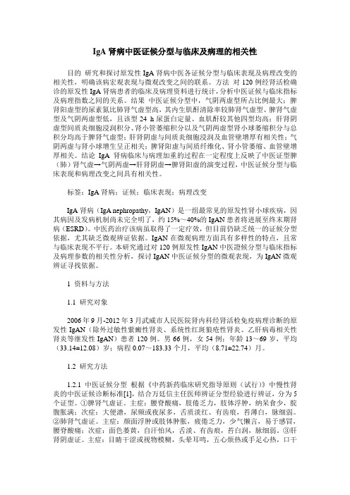 IgA肾病中医证候分型与临床及病理的相关性