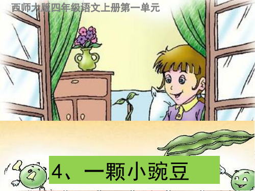 西师大版小学语文四年级上册第一单元《一颗小豌豆》ppt课件4