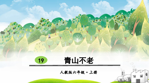 《青山不老》优质PPT1