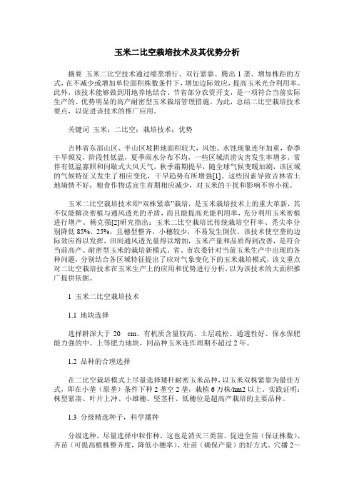玉米二比空栽培技术及其优势分析