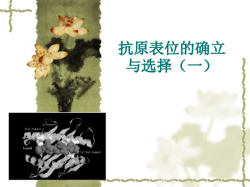 抗原表位.ppt