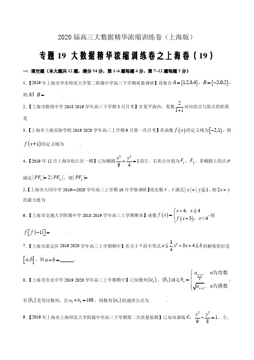 2020届高三数学大数据精华上海专用浓缩训练卷(19)(原卷word版)