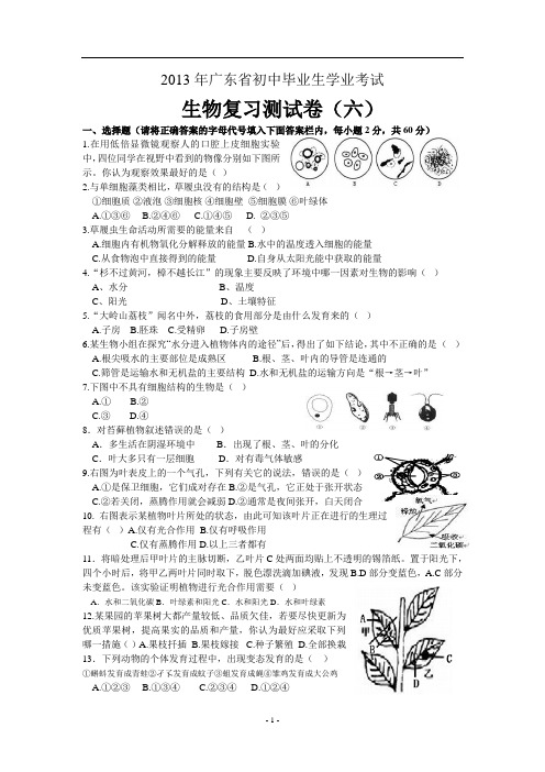 2013年广东省初中毕业生学业考试