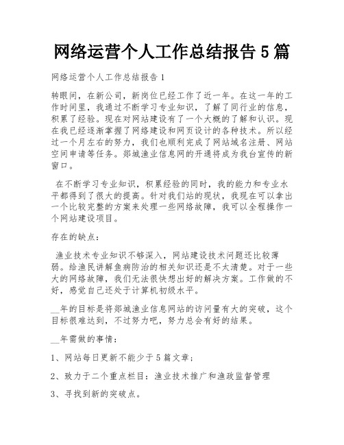 网络运营个人工作总结报告5篇