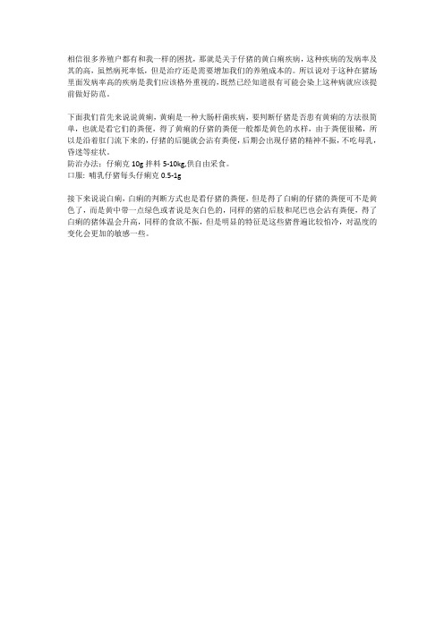 仔猪黄白痢的有效治疗方法